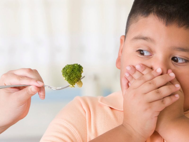 Готвар - Здравословни хранителни навици при децата